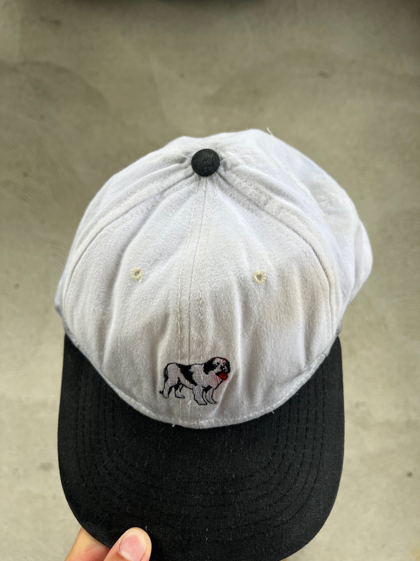 casquette big dog -adulte